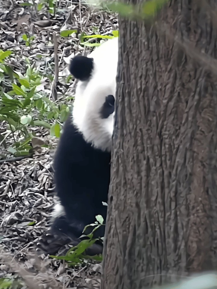 我偷偷地把我的QQ小号给了他，然后和他聊了三年